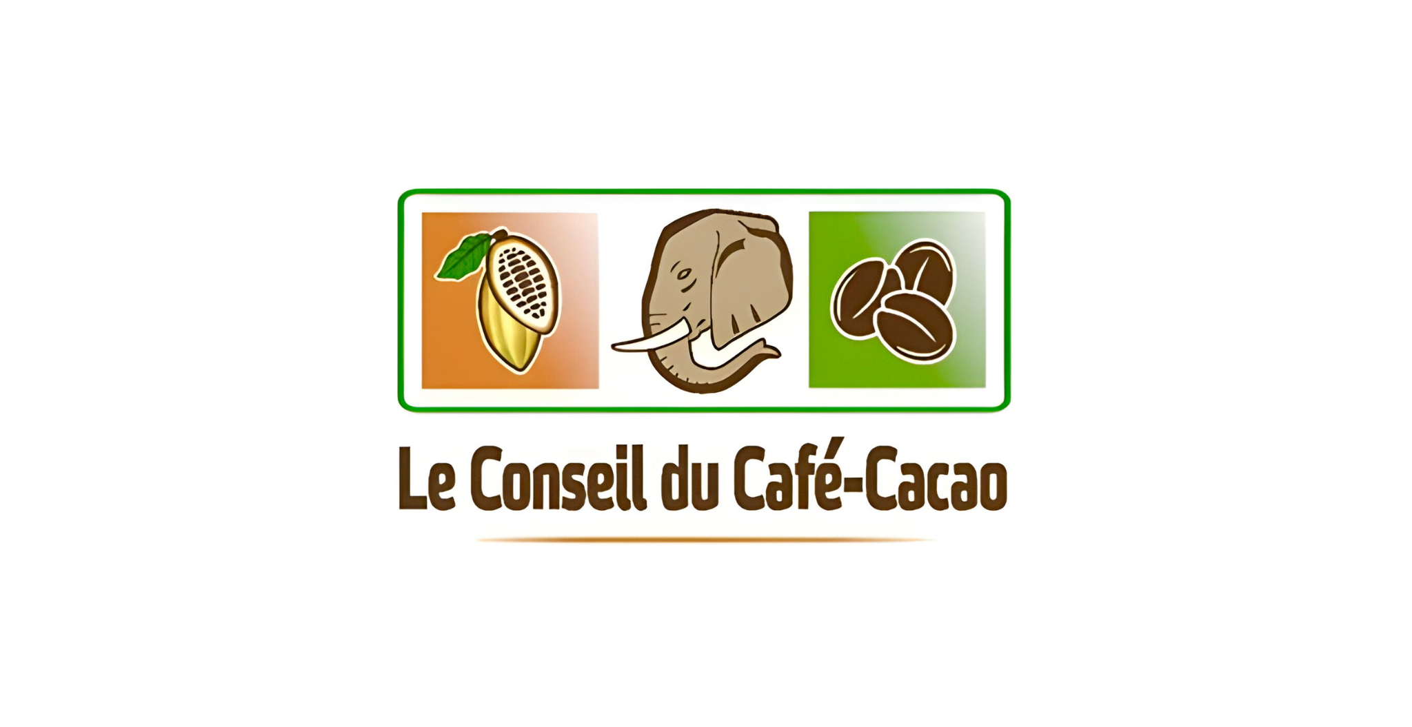 design-sans-titre-11